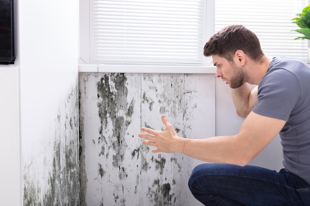 man-looking-mold-wall_1016675-4041