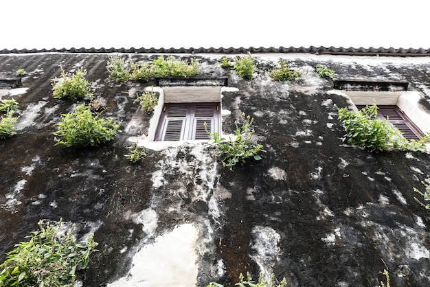 old-houses_53876-33815